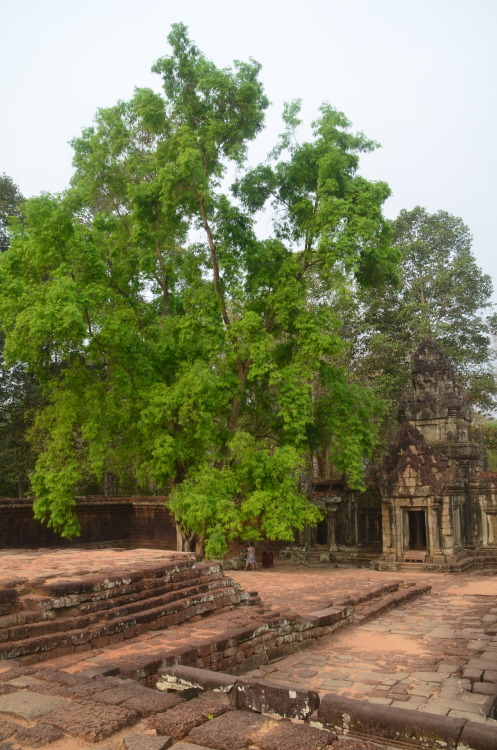 poussieresdempires: Angkor, Cambodge (by Félix le Masne)