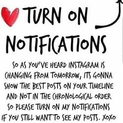 Turn on the notification button so you can