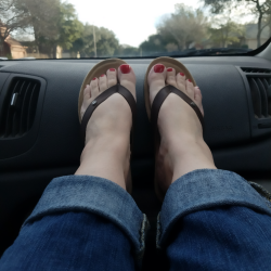 barefoot-in-texas:  it’s a beautiful day!