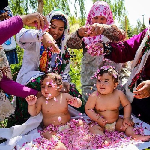 everydayiran: Following an old local custom called “Gol Qaltan”, women sprinkle damask r