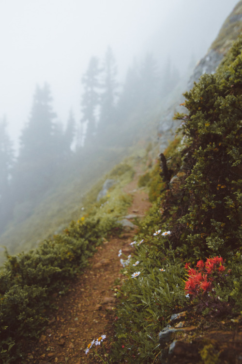 Gradual hikes in Washington || IG: BToneVibes
