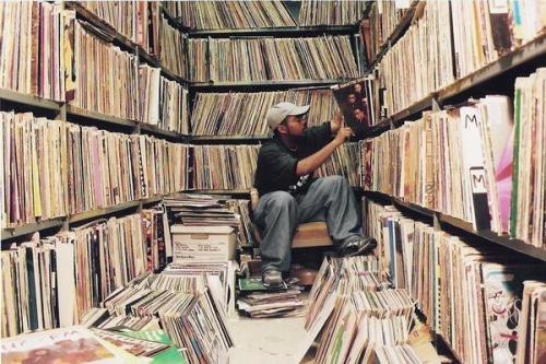 The Vinyl Wire