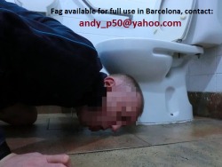 humilationdom11:  Anyone need a fag to use in Barcelona?  Maybe after a long day of sight-seeing, you need a faggot to serve you?