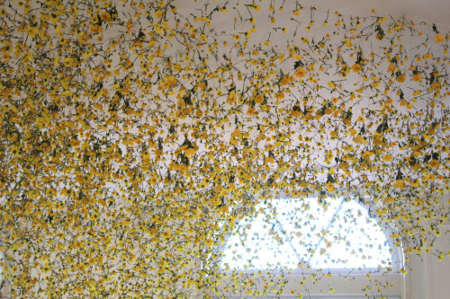 nevver:The Flower Show, Rebecca Louise Law