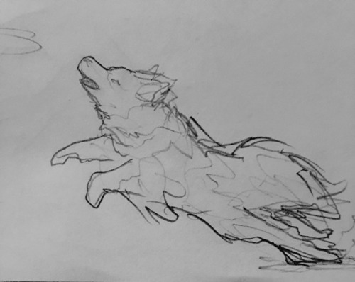 Drawing Exercise Doggo