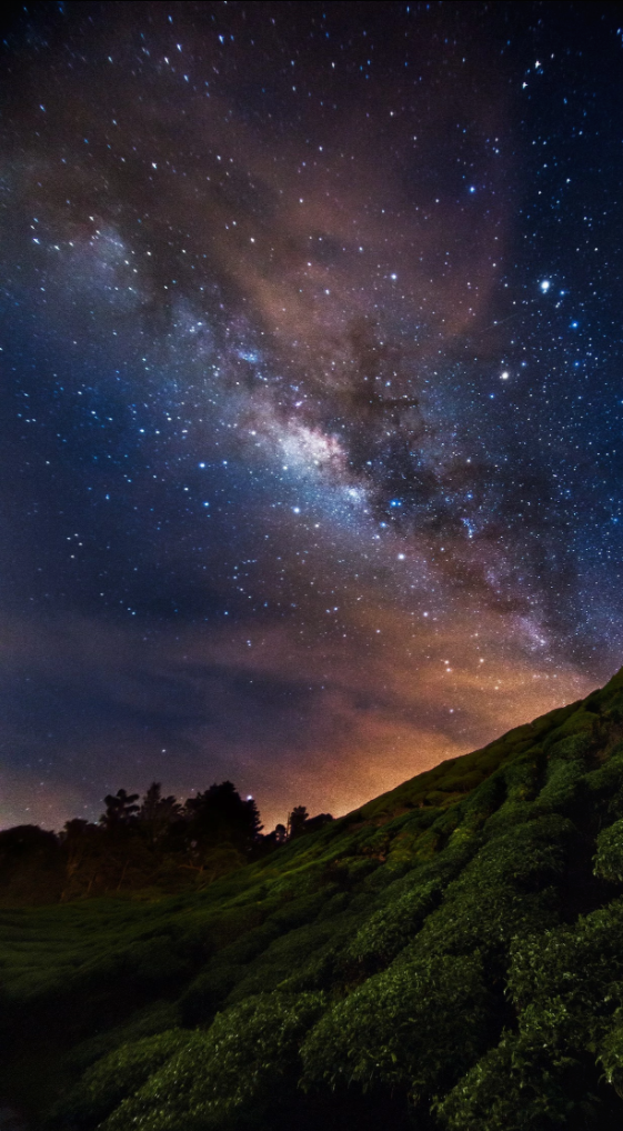 nubbsgalore:photos from indonesia’s mount bromo and malaysia’s mount kinabalu