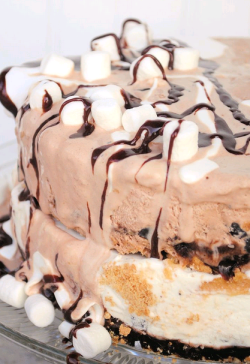 verticalfood:  S'mores Ice Cream Cake 