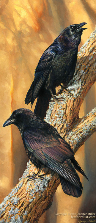  “Two For Mirth”, American Crows. 6"x14" oil on stretched linen.  For a group 