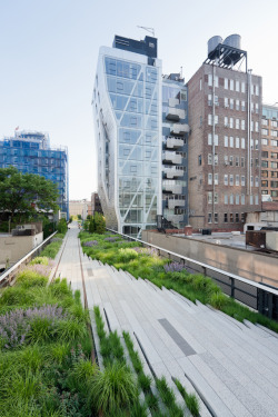 cjwho:  The High Line, Manhattan, New York