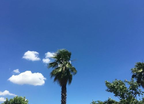 yollarbitmeyecek:Summer in Istanbul