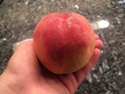 thenudistprincess:  I enjoy bum shaped fruit