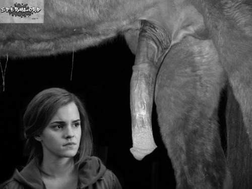 Harry Potter Deleted Scene: Hermione has to prove her worth to the centaurs for them to join the sid