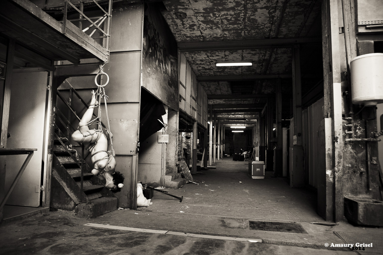 bondageisnotacrimeparis:  au fond du garage  modele : Irina Halima shibari &amp;