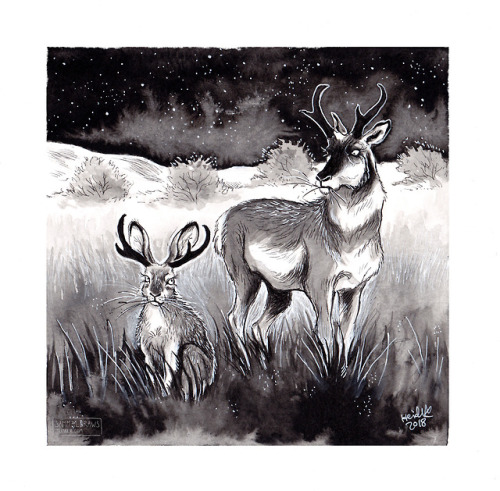 Inktober Day 21: Jackalope