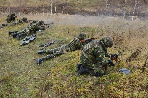 militaryarmament:Romanian soldiers conducting a Combined Arms Live Fire Exercise as part of Exercise