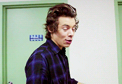 artharry-deactivated20150509:  Harry//1D Vault 3-On The Road Memories 