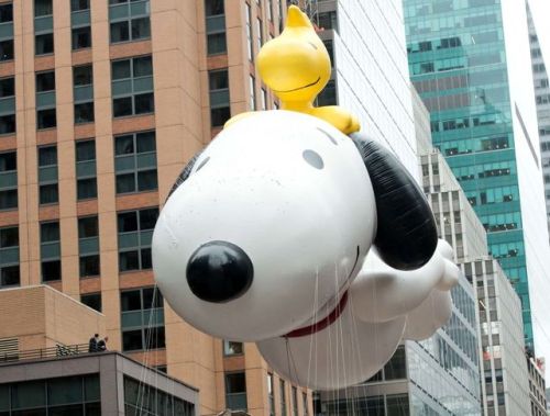 theonion: Thousands Of Rats Tumble About Uncontrollably Inside Snoopy Balloon High Above Thanksgivin