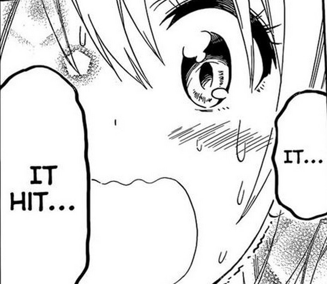 charancharan:  Nisekoi Manga Chapter 156 - The Results of the Hunt &amp; The