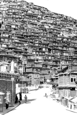 dopediamond:   Larung Gar - Tibet  