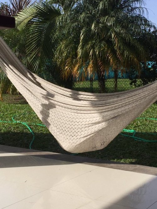 babyanimalgifs: “i saw a lump in the hammock, i approached and found this”