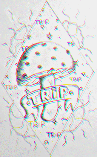 asiaboii:   Trip 