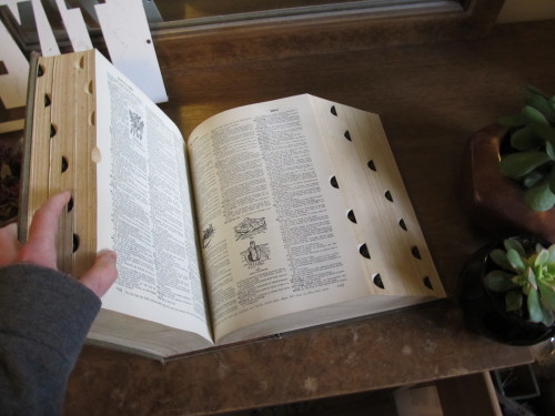 So my dad came home with this giant today. Apparently the neighbors on the corner are getting rid of a bunch of stuff, and this was in the pile–complete Webster’s dictionary from the 1950′s. It’s… huge.