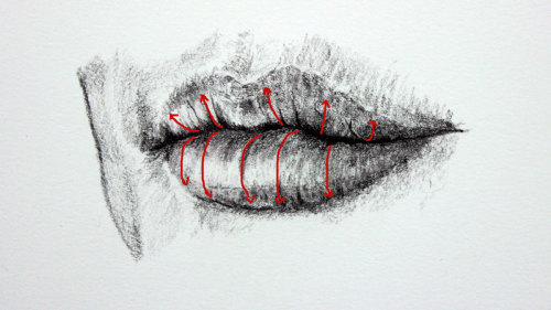 anatoref:  Drawing Lips:Top Image.Row 2,3 & 4Row 5 Left, RightRow 6Row 7