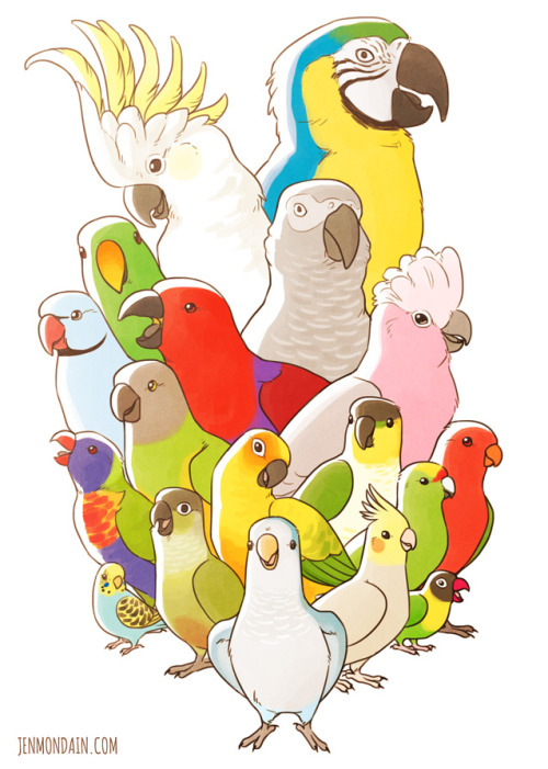 avianawareness: jenmondain:  My bird print for SMASH! I hope everybody loves birds as much as I do b