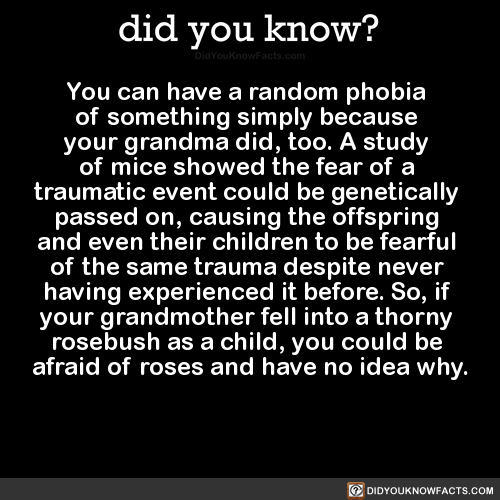 did-you-kno:You can have a random phobia  of something simply because  your grandma