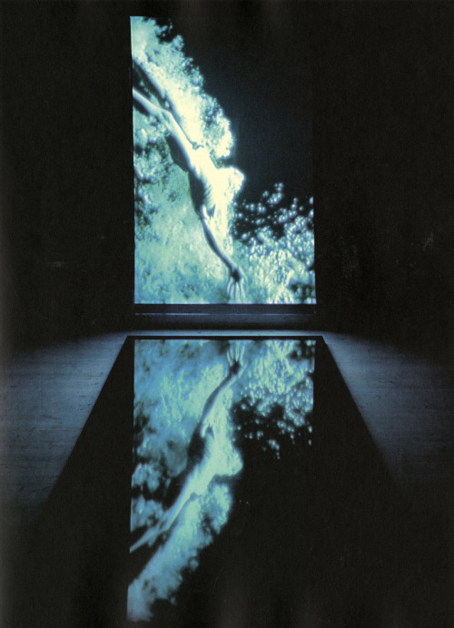 dyaphanum:Stations, Bill Viola, 1994.