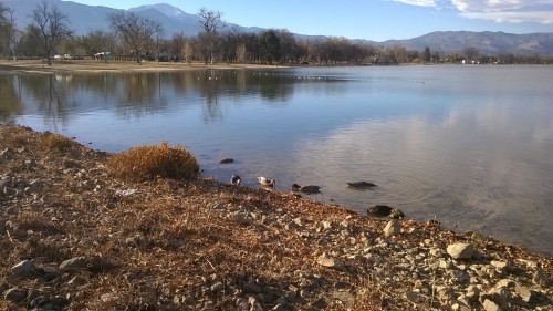 Found this gorgeous park the other day when I took a wrong turn and I’m thinking it wasn’t such a wrong turn after all