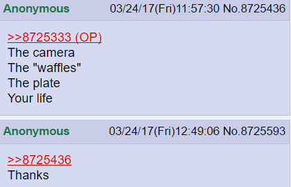 peoplegettingreallymadatfood:  i thought i was looking for loss in the waffles for a second there