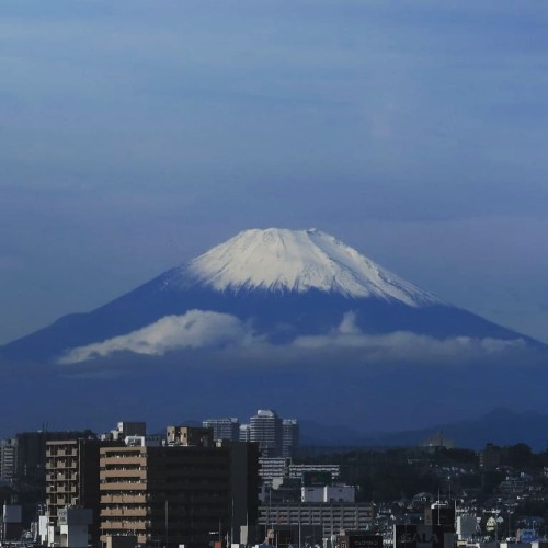 hidewaku:  外交官の家　庭　富士山　世界遺産