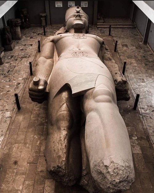 egypt-museum:Colossal Statue of Ramesses IIThis massive statue was found in 1820 by the Italian trav
