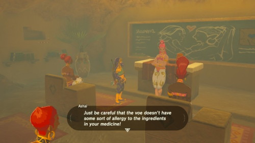 zferolie:  Gerudo Classes on how to interact porn pictures