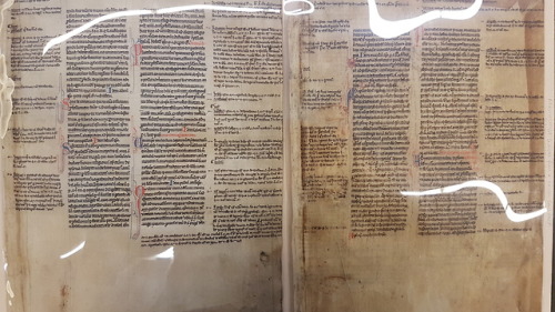 LJS 35 - Manuscript leaves from a canon law textSometimes even a couple of leaves can tell us so muc