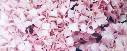 pr3tty-past3l-pink:credit 