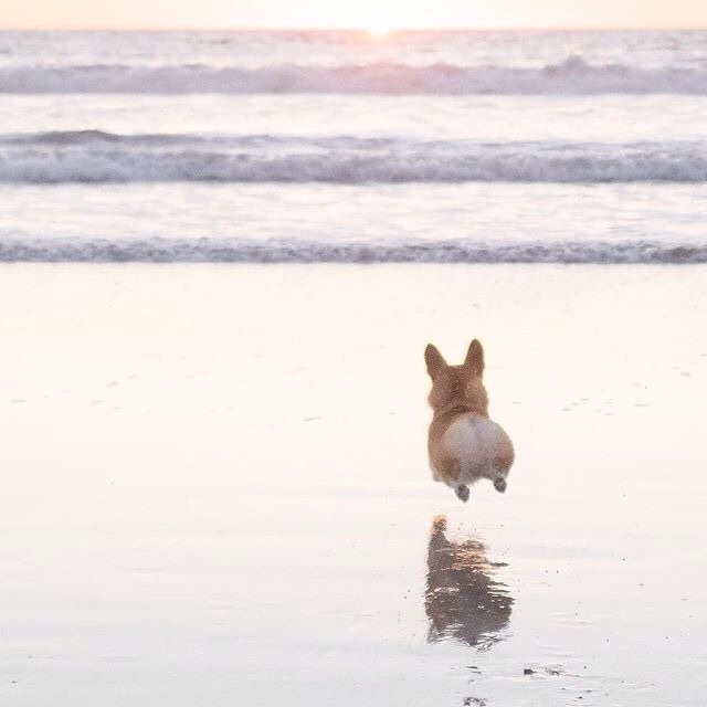 perfectlyscrumptious:  It’s Friday (in Australia)!