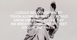 cassiopheias:the song of achilles + favorite quotes