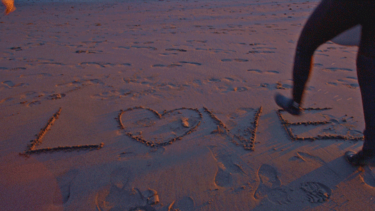 noaasanctuaries:Happy New Year from your National Marine Sanctuary System! 