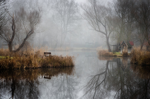 landscape-photo-graphy:Abandoned Fishing Village Outside of Budapest is Perfectly Reflected on the Lake by Viktor Egyed A few miles outside of Budapest lays a small abandoned fishing village composed of rustic huts, tall trees and an obscure atmosphere.