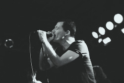 backseatmarinade:  TOUCHE AMORE (by alison catherine hein) 