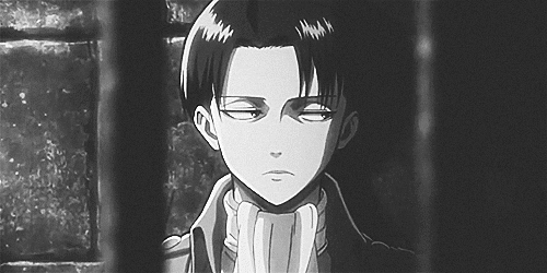 l-e-v-i-ackerman:  Captain Levi 