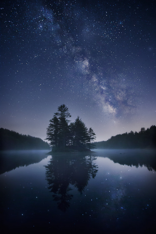 tulipnight:  Narrow Window by Patrick Zephyr Nature Photography 