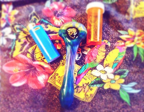 honeybluntbliss:  I don’t mind 🌺💛💨 