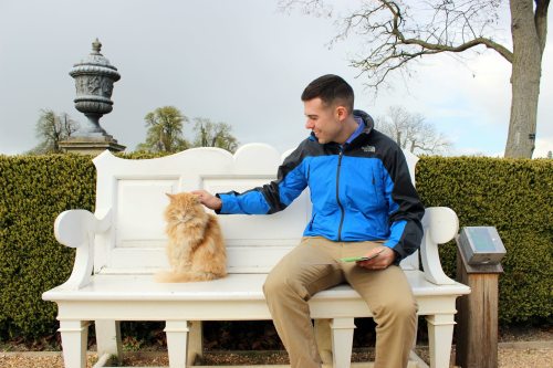 A sweet moment at Wimpole Hall with a resident ginger cat.