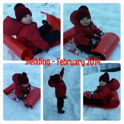 Got to get out on the sled with #berlinbenjamin before the snow melted :)