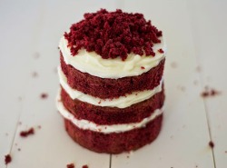 do-not-touch-my-food:  Red Velvet Layer Cake