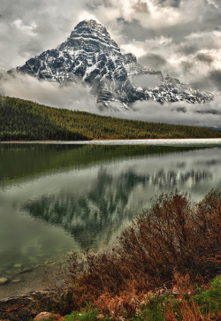 woodendreams:  (by Jeff Clow) 