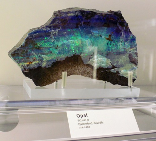 ifuckingloveminerals: Opal Queensland, Austrailia